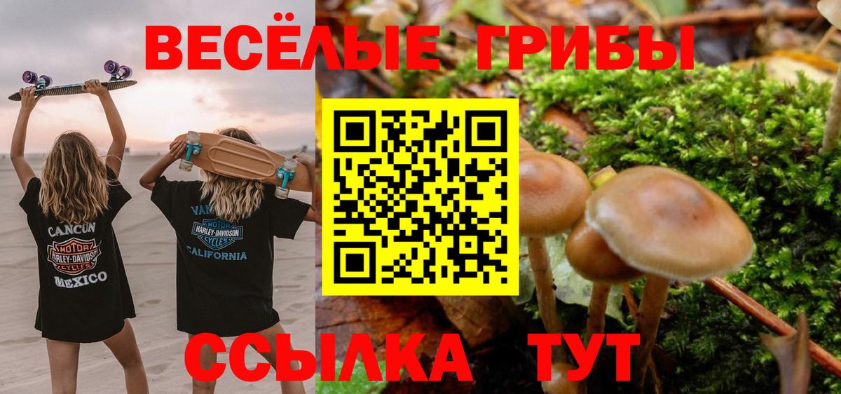 Псилоцибиновые грибы Psilocybine cubensis  Вход с VPN  Киров 